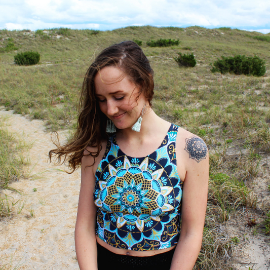 celestial splendor crop top