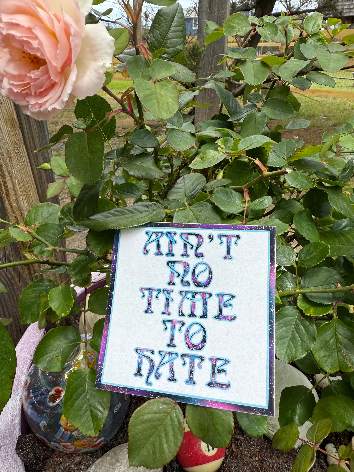 ain’t no time to wait - vinyl sticker